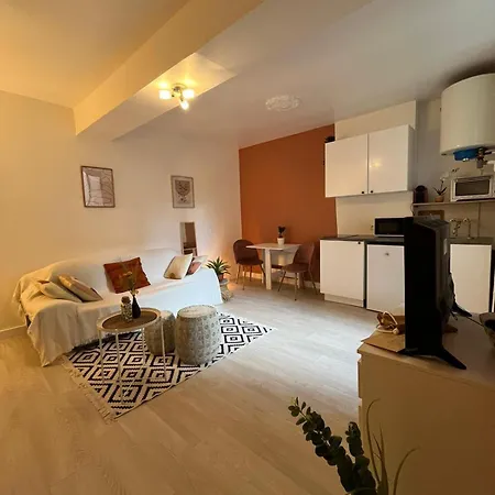 Grand Studio Gare De Apartment Nantes